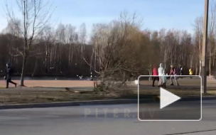 В Петербурге вновь наблюдается невысокий уровень самоизоляции