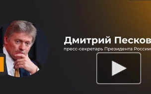 В Кремле прокомментировали публикацию американских СМИ об убийстве Дугиной