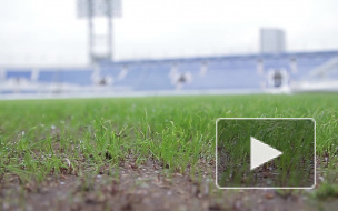 Новые абонементы "Зенита" действуют сразу на двух стадионах