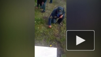 Стригущие траву маникюрными ножницами российские пожарные попали на видео