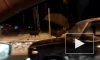 Видео: на въезде в Янино петербуржцы заметили лосей