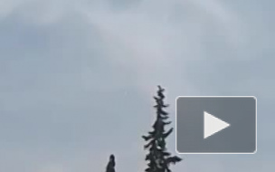 Появилось видео падения сирийского Су-22 у Алеппо
