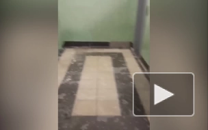 Видео: подъезд в жилом доме в Парголово залило водой
