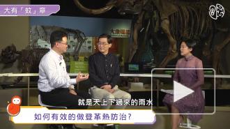 Жителей Шанхая предупредили об опасности заражения лихорадкой денге