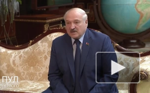 Лукашенко: IT-специалисты Белоруссии и РФ не должны быть на побегушках у крупных фирм