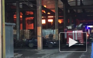 Видео: Горит склад на проспекте Стачек