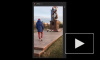 В сети появилось видео, как парень дарит девушке цветок с памятника участникам ВОВ в Красноярске: СК начал проверку