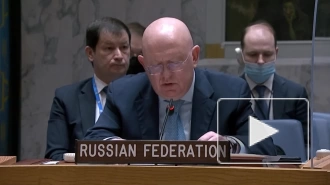 Небензя: замгенсека ООН не упомянула обстрел Донецка "Точкой-У"