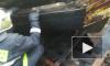 Видео: МЧС спасли поросенка и двух козлят из горящего сарая в Ленобласти