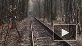 Тонель любви