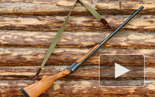 В Петербурге хаски привела хозяина к тайнику с ружьем и патронами