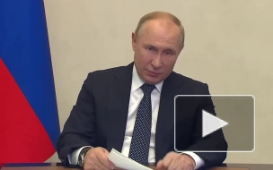 Путин: средняя температура в РФ растет быстрее общемировой