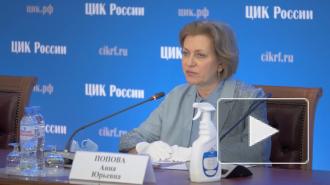 В ЦИК оценили обстановку проведения голосования по Конституции