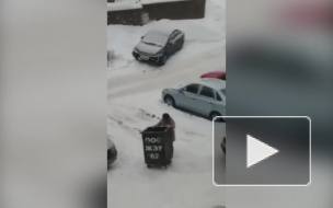 Креативное видео из Уфы: женщина "застолбила" парковку мусорным баком