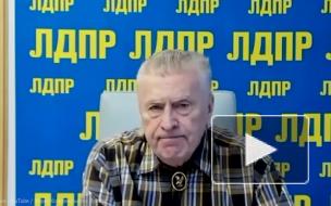 Жириновский предложил открыть в России публичные дома для молодежи