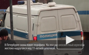 Извращенец жестоко изнасиловал дочь буфетчицы на Ланском шоссе