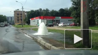 Появилось видео фонтана холодной воды на проспекте Большевиков