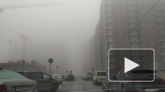 В Петербурге 27 марта будет тепло и без осадков