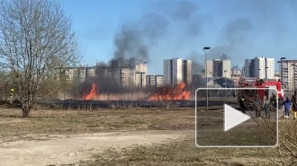 Видео: у озера Долгое горит сухая трава