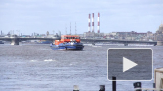 В Петербурге судно врезалось в Дворцовый мост и затонуло
