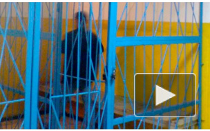 Уволенным сотрудникам МВД выплатили 19 млн премий в нарушение закона