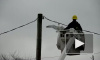 В Канаде электромонтер спас чайку, застрявшую в проводах