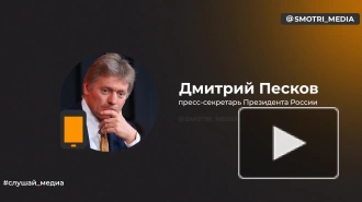 Песков: Москва продолжит операцию по эвакуации россиян из сектора Газа