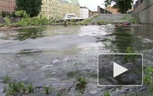 «Катя» еще в Петербурге. Порывы ураганного ветра достигнут 20 метров в секунду