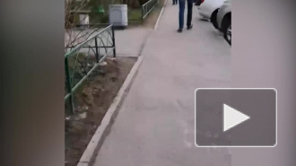 Видео: в Шушарах трое с ножом напали на прохожих