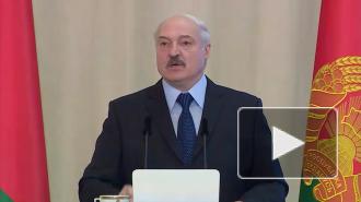 Глава МИД Белоруссии обсудил с временным поверенным США предвыборную ситуацию