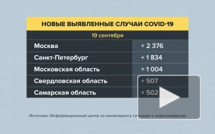 В России за сутки выявили более 20 тысяч случаев COVID-19