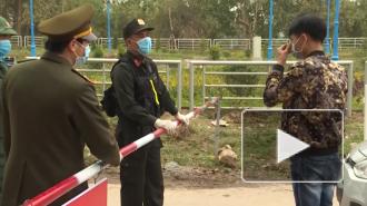 Во Вьетнаме зафиксировали первую смерть от коронавируса