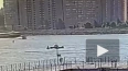 В Малой Неве столкнулись "Метеор" с 87 пассажирами ...