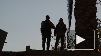 В МИД рассказали, что необходимо для нейтрализации угрозы ИГ* в Сирии