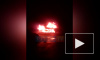Видео: в Гатчине полностью выгорел автомобиль