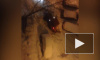 На Верности снегоуборочный трактор застрял в сугробе на час