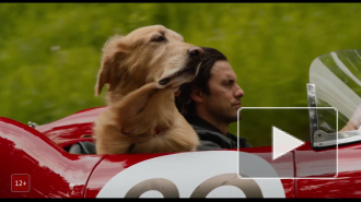 Говорящий пес и гонки: вышел трейлер фильма "Невероятный мир глазами Энцо"
