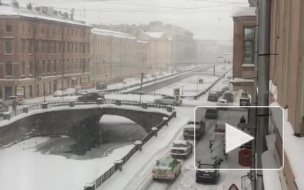 Из канала Грибоедова выловили пьяного иностранца