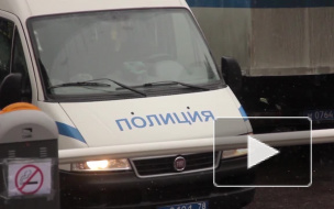  Из морского порта пытались незаконно вывезти пиловочник еловый, сумма неуплаченных платежей — 77 млн рублей