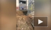 Появилось видео с места взрыва на ТЭЦ в Павловске