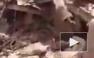 Опубликовано видео первых минут после обрушения 7-этажного дома в Бразилии