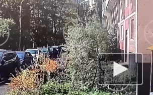 Начальница отдела ФСИН выпала из окна квартиры на северо-западе Москвы