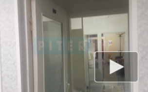 Видео: Петербургский ливень затопил больницу имени С. П. Боткина 