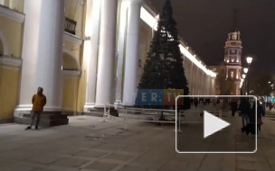 У Гостиного двора в Петербурге установили елку 