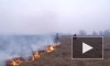 В Магаданской области загорелась в мороз сухая трава