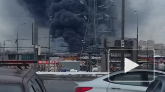 Появилось видео сильного пожара в Подмосковье