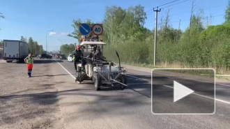 Дорожники обновили разметку в четырех районах Ленобласти 