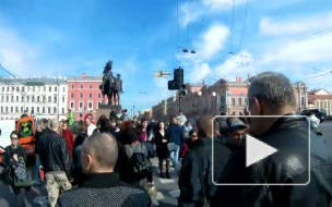 Укротителям вернули поводья коней на Аничковом мосту