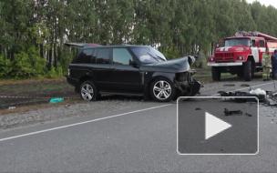Видео с места аварии: В Тамбовской области в лобовом ДТП погибли двое взрослых и 4-летний ребенок 