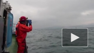 Спасатели второй день ищут пропавшего рыбака в районе Кронштадта